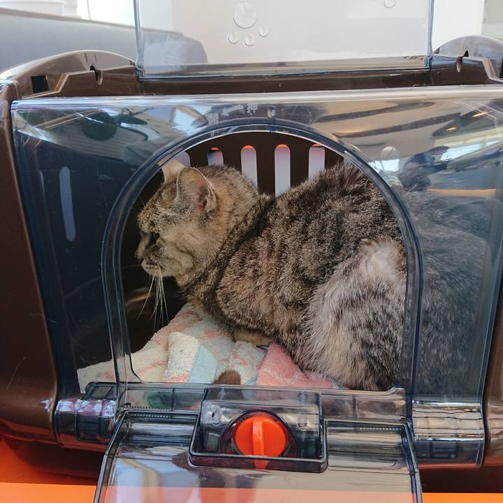 Ffe316a7 77ac 439c 839c c1a41ec9a4d6 1592640350448