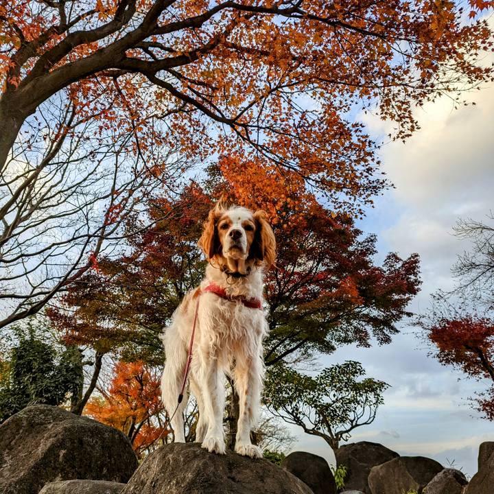 Ffe339a5 9aa1 41fd bb47 f7a463bfec39 1670487939016