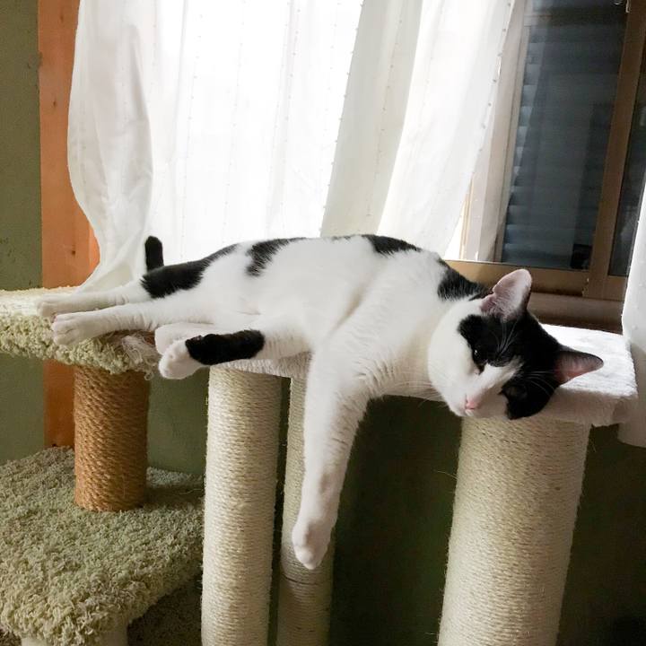 Ffe3730a a582 4150 8218 623addd369c3 1520729659132