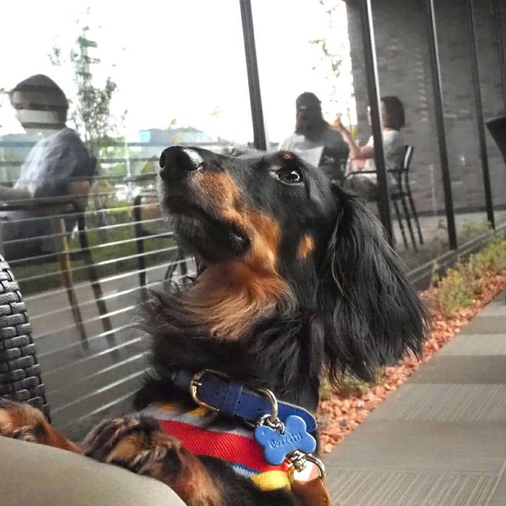 Ffe387ff 8e44 455b 8129 9ff97304bf7d 1593752199121