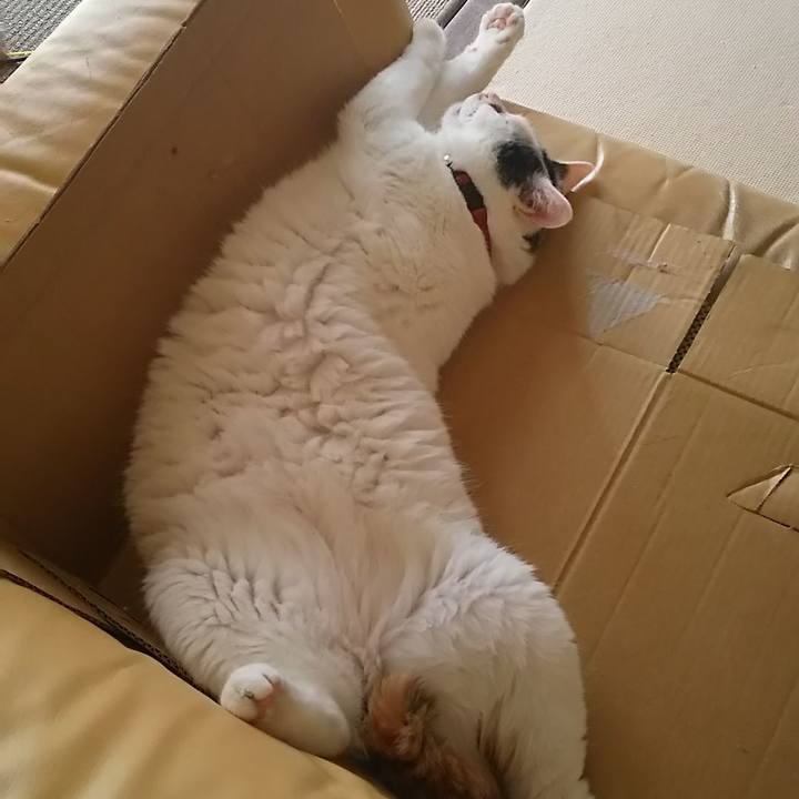 Ffe3a83e 83a6 4b4e ad6f d659056436a4 1660608346767