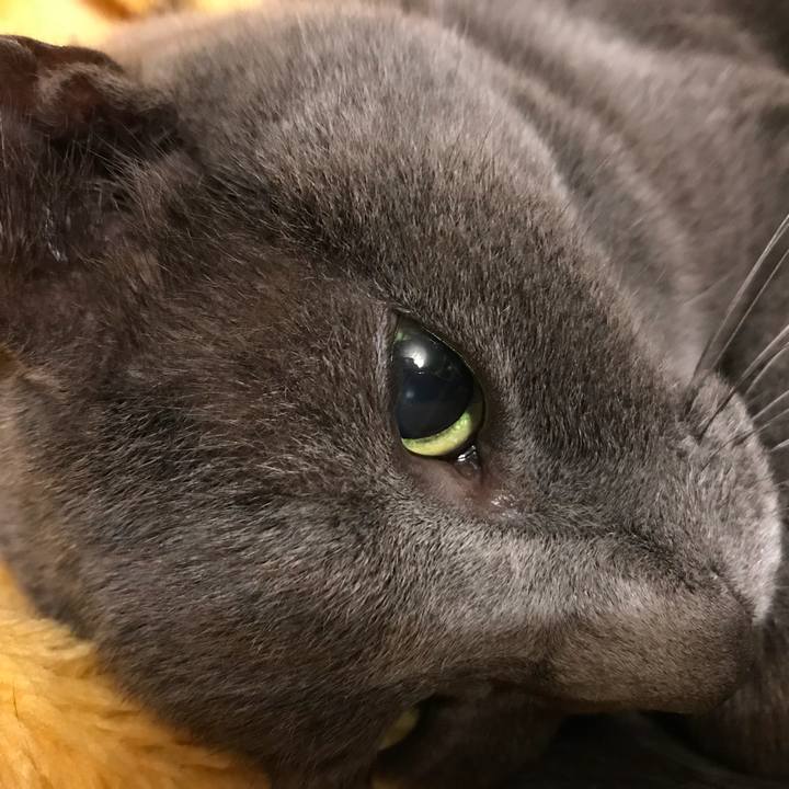 Ffe3ba56 7d06 40ef a798 fd4a5d98ff01 1516146855740