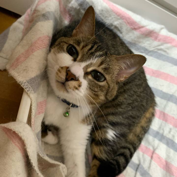 Ffe3f56a 4396 48be b9c0 1ce4866b6889 1624456941357