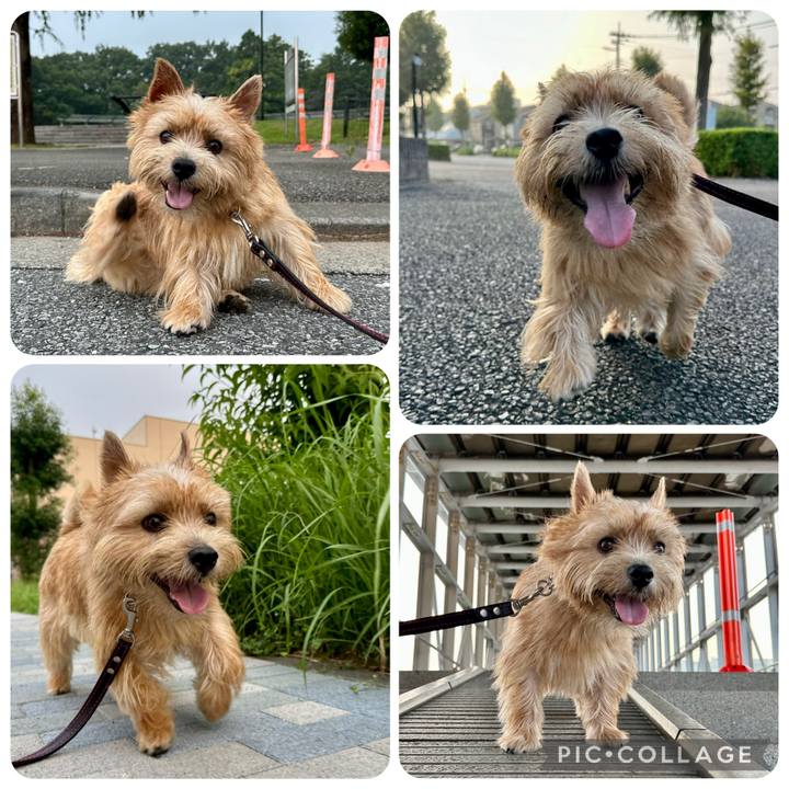 Ffe40257 f4b4 4ee8 bd06 cc6af0ab126d 1758202297953