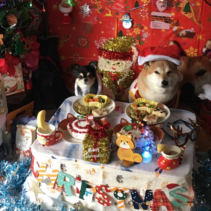 Ffe462fd 4101 42fd bae6 2079557c3d9f 1608855824692