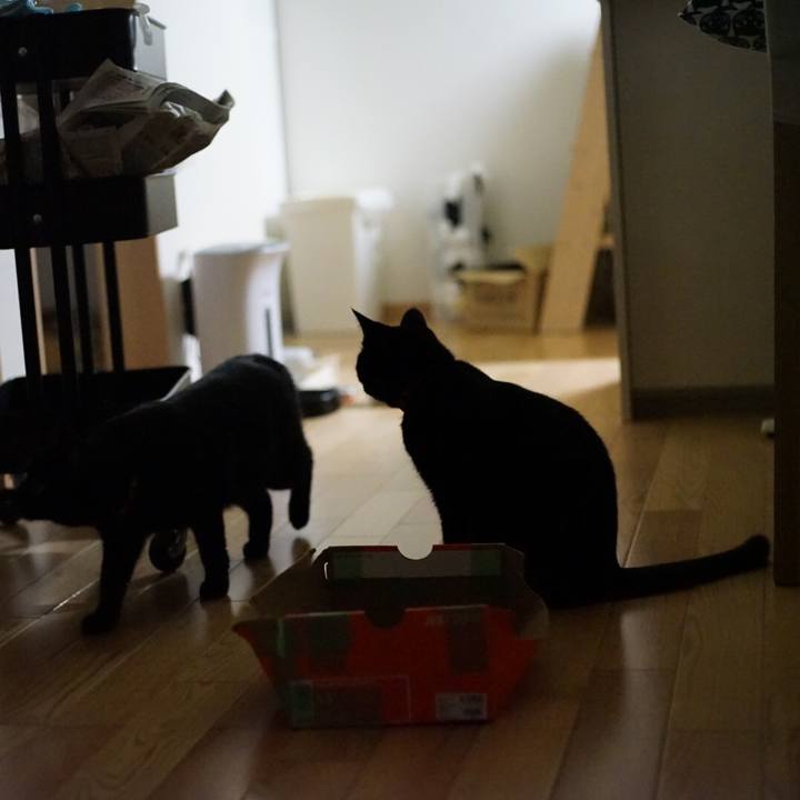 Ffe504be beaf 4b84 8e0d f161cd6e77b5 1531407446656