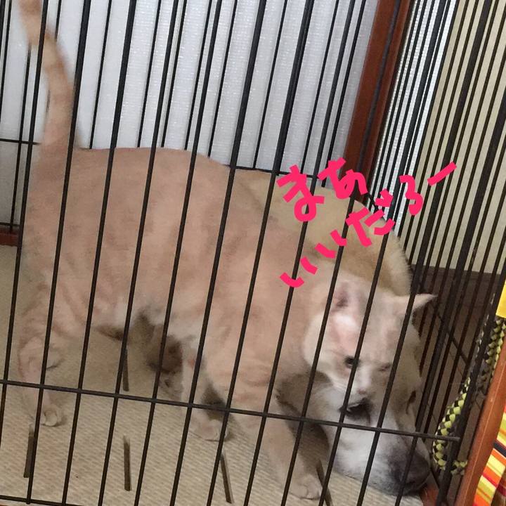 Ffe50521 4cfb 41a6 8b42 bb101e7420fd 1525848418746