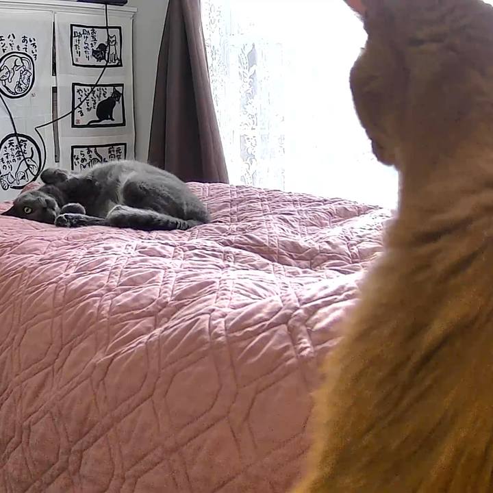 Ffe523bf 6b7d 4f3d 985b eb3c19d5eaa8 1769273959848