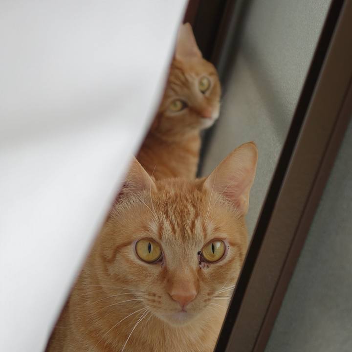 Ffe54d9a 062b 4ecb a4b6 cbb368b5174e 1586050496616