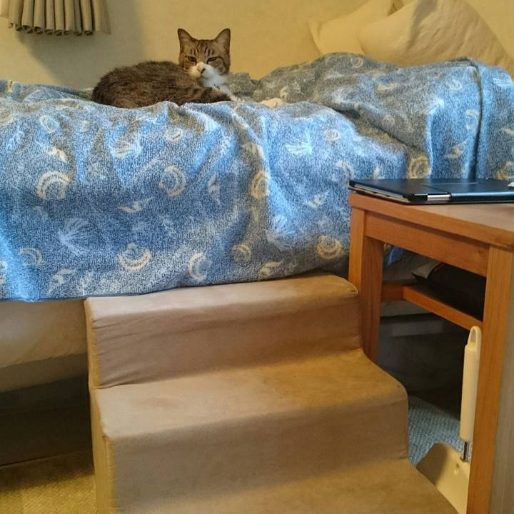 Ffe5877b 72ef 4f73 beb1 971d53158f39 1531649552320