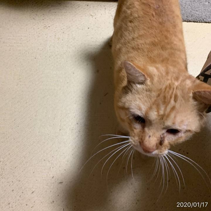 Ffe5cf7f c8c8 4146 8f2d 7ad1a0390cab 1579211565186