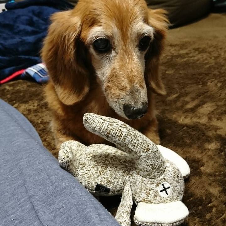 Ffe5e3c5 b9f9 442e 91c6 8dcb61f073dd 1511939458648