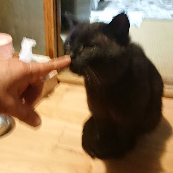 Ffe5fdf1 ba05 425d 8acc adf9bcf8ffa5 1622028069878