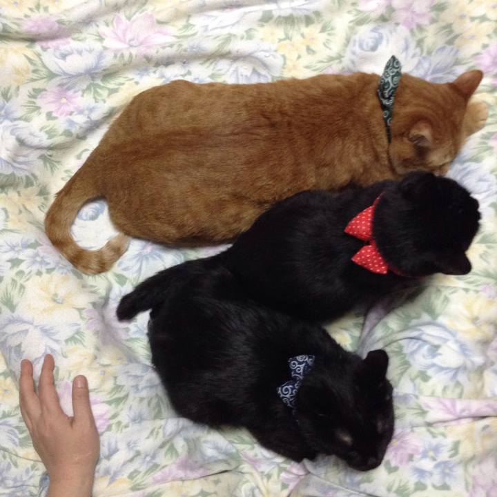 Ffe6123d aff2 47dc a7e5 a39724c64191 1591282278646