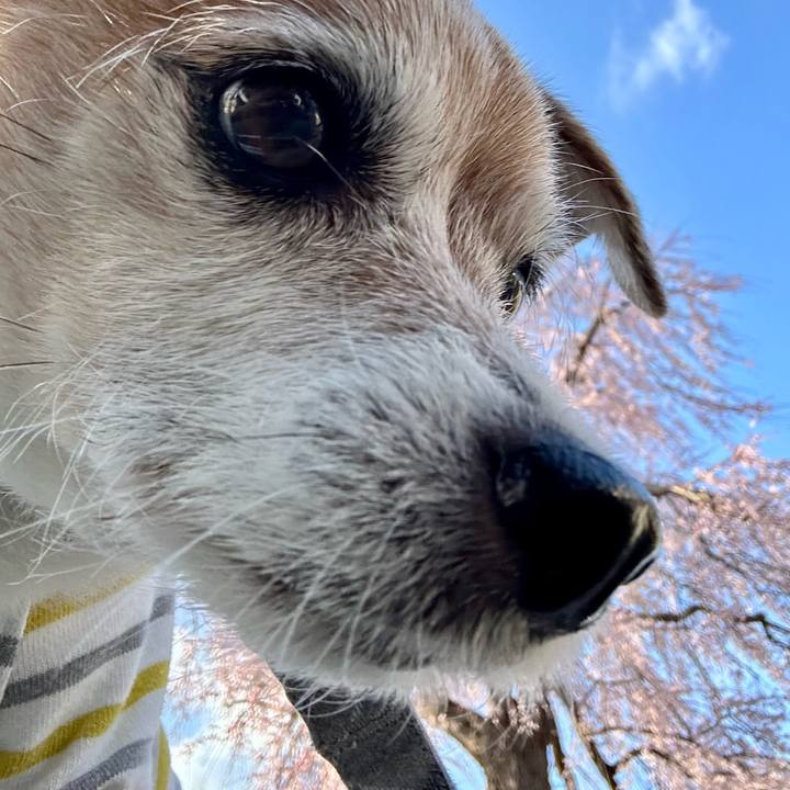 Ffe61a4f 6782 4618 b966 6531cc1e3f7d 1678874404041