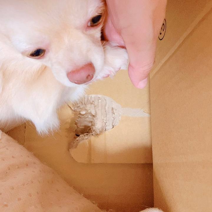 Ffe65458 c8b5 4694 b98a 6a6ee1546c96 1623931172692