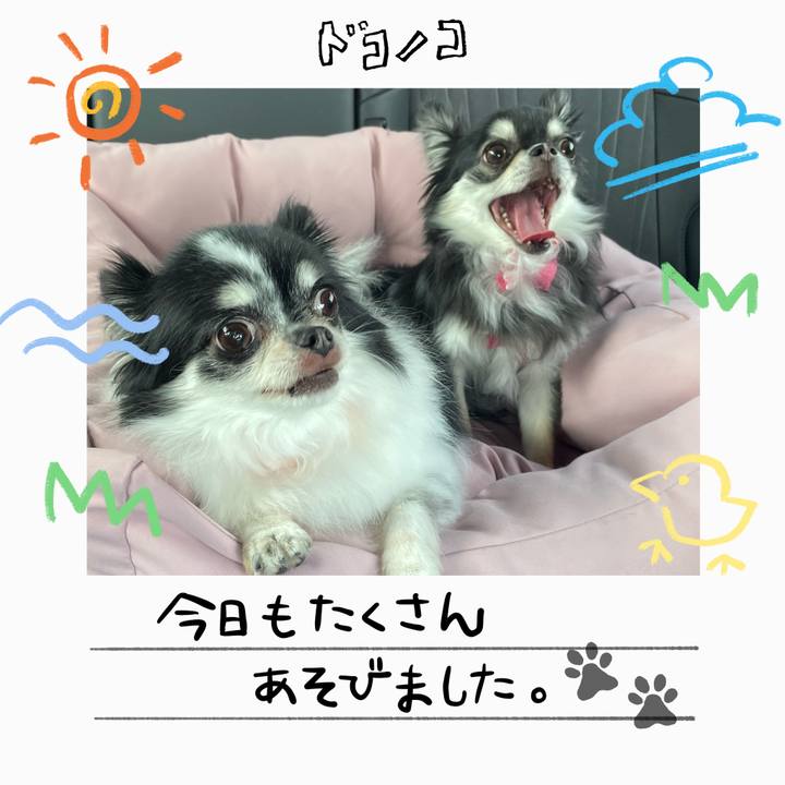 Ffe6752d d4b6 4aa4 9f4a cbe8a7738e99 1755054628879