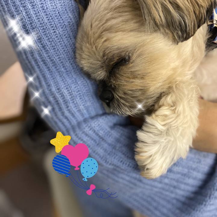 Ffe6813e 75c1 4254 8b53 d6202bc5c97a 1584103827880