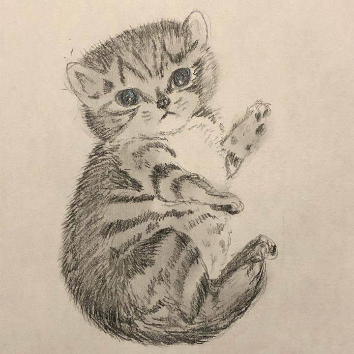 Ffe68d10 6e8d 4549 96c5 5614281eed2b 1630529587940