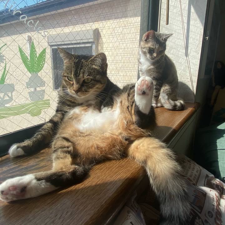 Ffe6c52e a109 4378 8995 d1fa04121d1f 1617458677064