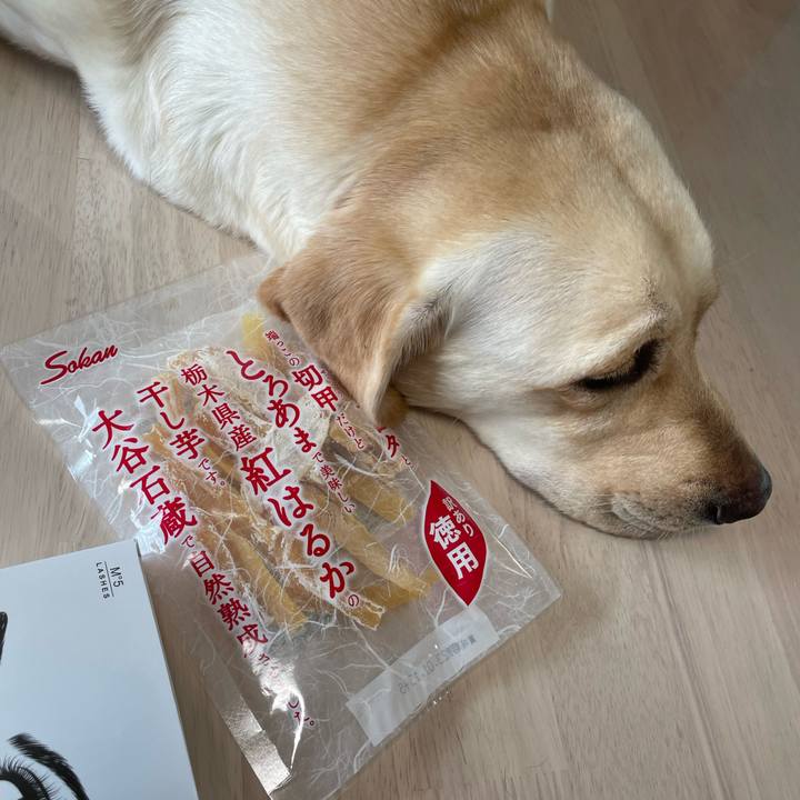 Ffe6f2eb 893d 4951 a777 2fec35e098d4 1662006186428