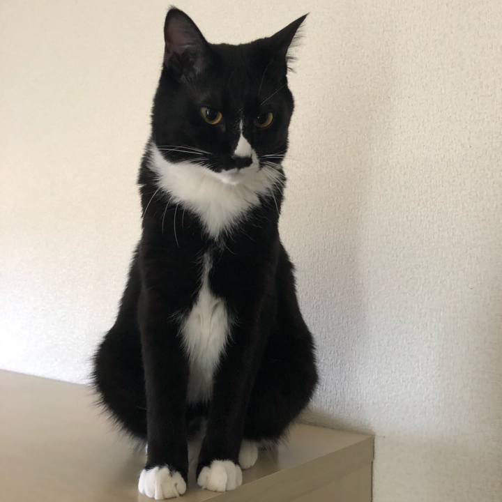 Ffe71e53 ce9d 4f1b aea1 a268feb7e8ed 1517750506168