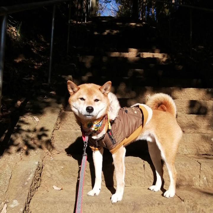 Ffe733a4 d8f8 4d30 8f11 99beac80bdb6 1609484492445