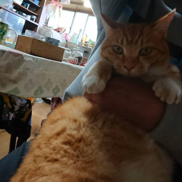 Ffe73864 3812 4e46 8037 9b33f96150ae 1604391980103