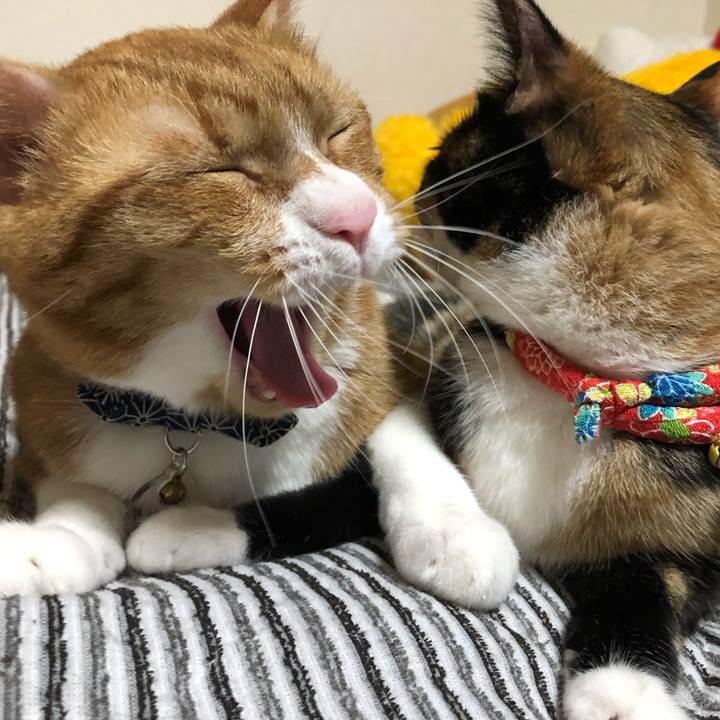 Ffe74b61 1e6f 48e2 bdff b458e27a2195 1559303387054