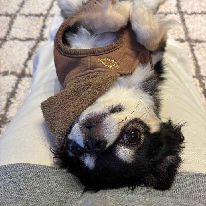 Ffe75a7e f603 4269 9c85 8fbeddbd8541 1739117170902