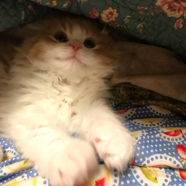 Ffe75e1f 7865 427c 9139 0db6f91aa9ac 1515384184465