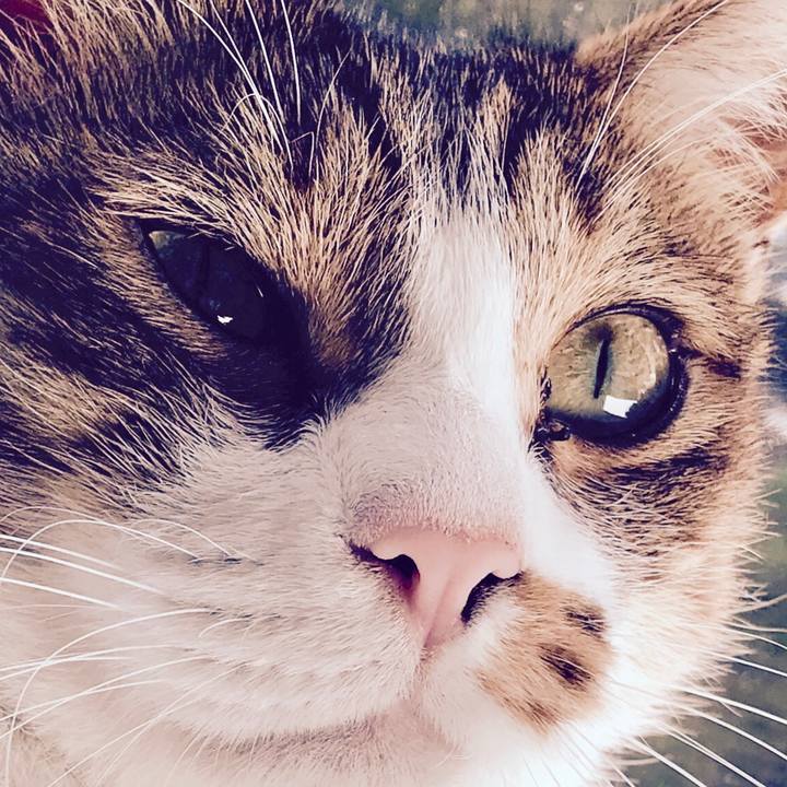 Ffe78b18 f5c2 49d3 ac41 d99c843927e0 1565581452800