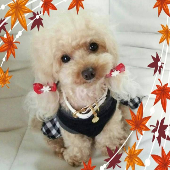 Ffe7b077 3be1 4689 a7e0 09a61f67c27b 1542111343627