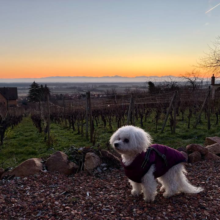 Ffe7c5d2 ac9a 4ad3 a09a 012ae3b328d6 1767175970481