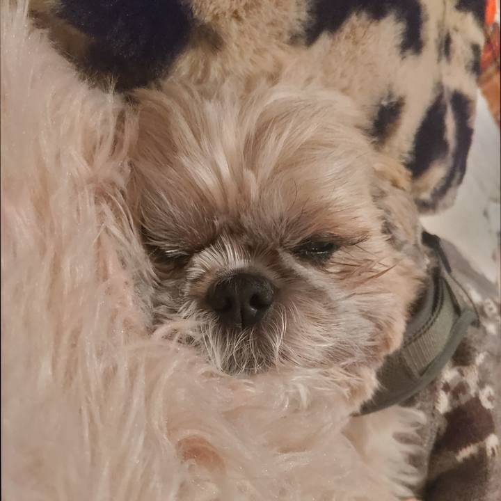 Ffe7ceda 6725 4049 aac0 a38cd5eb5f52 1766754584833