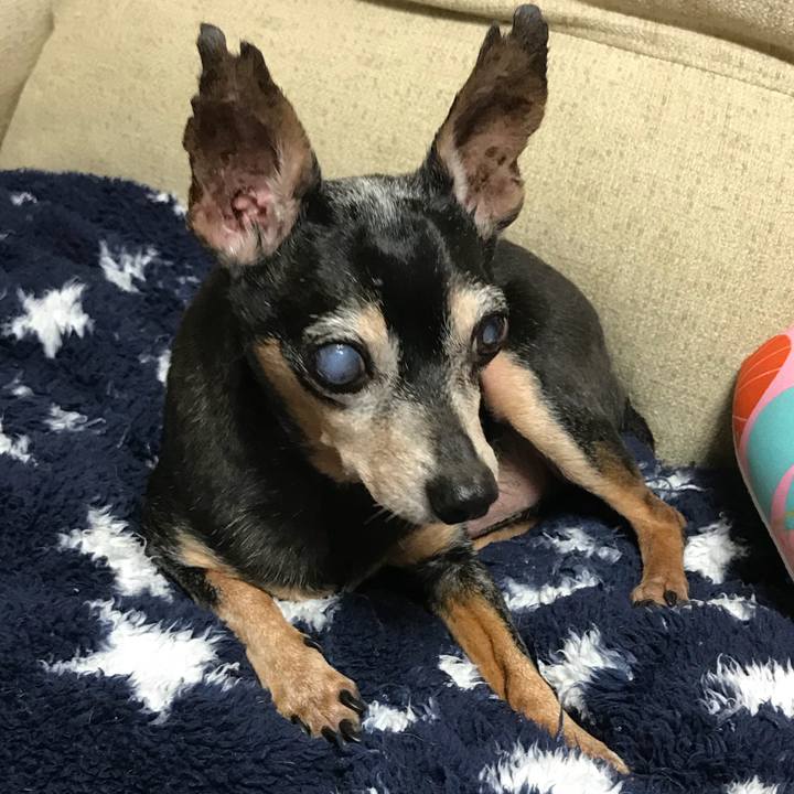 Ffe7d9d6 bde4 453d 8b96 064b114a24d4 1569931387771