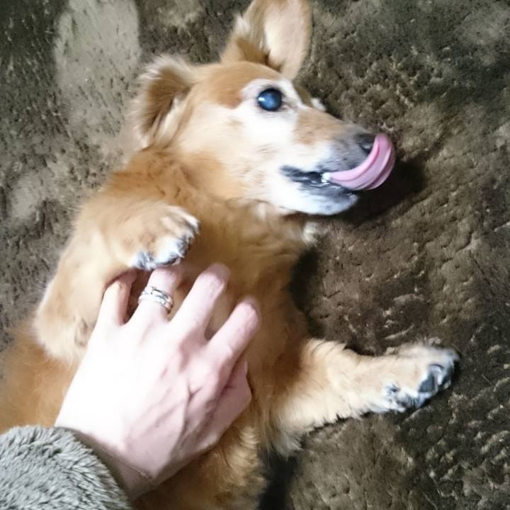 Ffe7efc6 e328 417b b04c 786d80b9265a 1582220599471