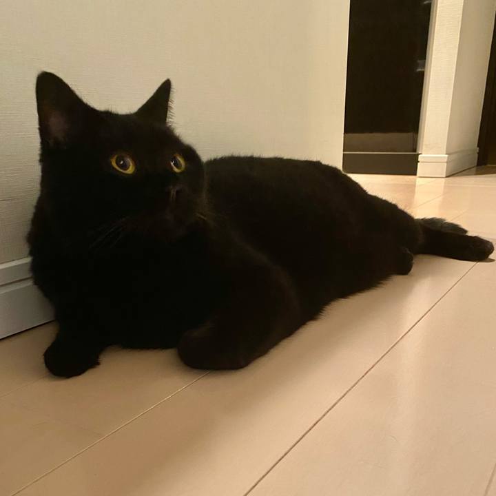 Ffe7fbc8 1a4a 4c16 bd93 7f01e2116ed9 1692190287018