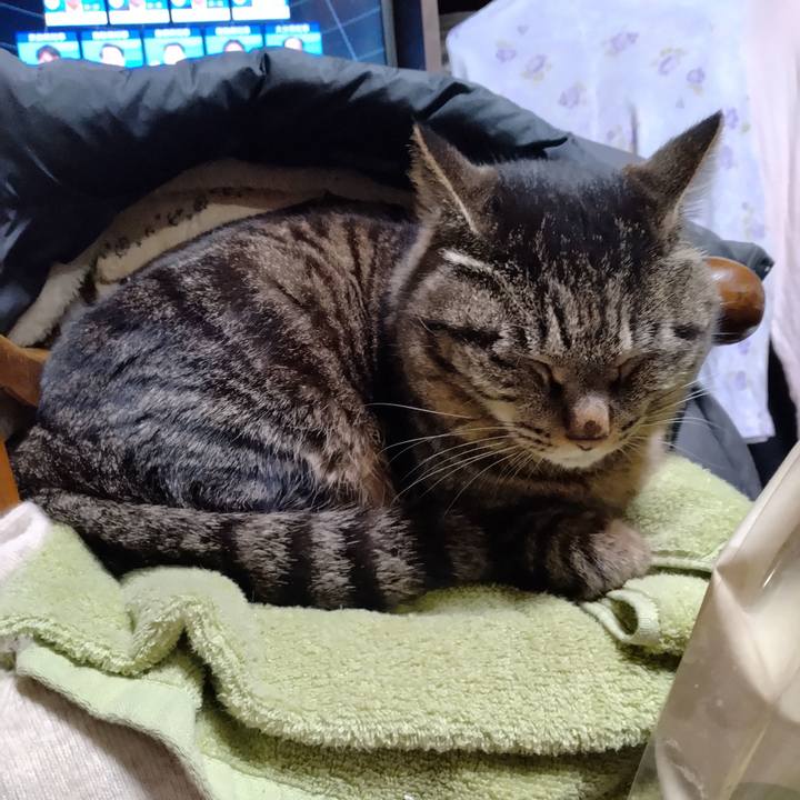 Ffe80020 3b15 47df b17c 13c7d9d6cdaf 1681041752179