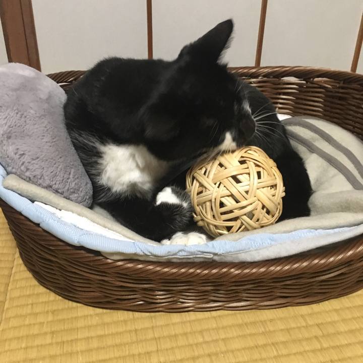 Ffe83941 279d 4f61 b836 fc2875286812 1528723180687