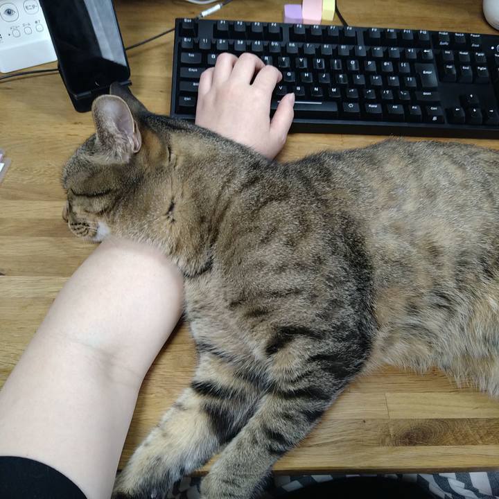 Ffe83d03 0862 438b 86a6 c81cf6a36f0d 1715908936232