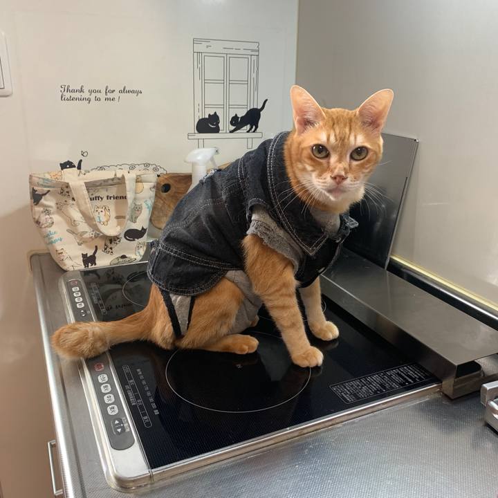 Ffe855b8 08ed 431c 8168 7858f87d4c56 1654118981623