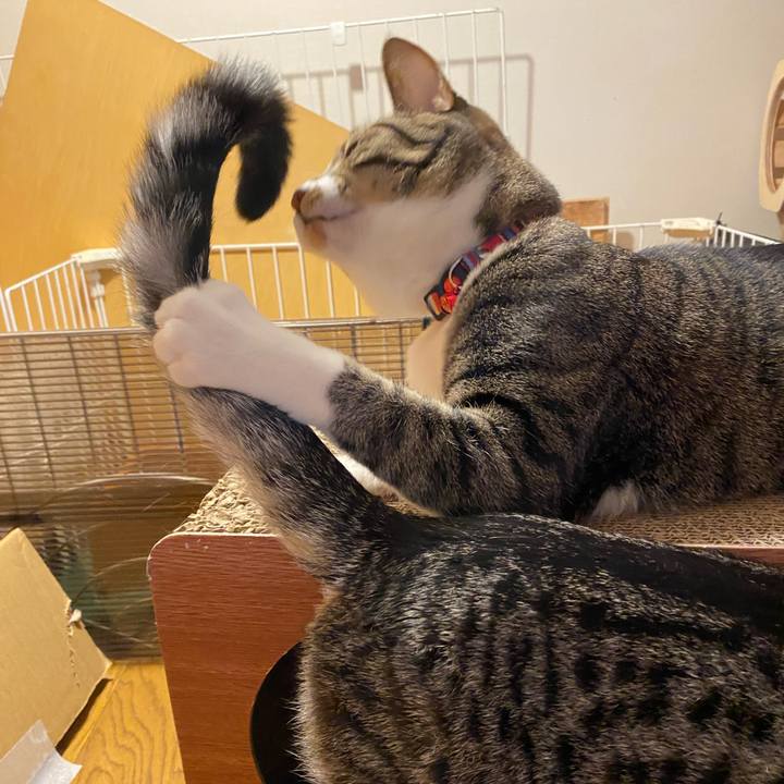 Ffe8696b 3ee6 4a9f 838c 96890ac66939 1707029028221