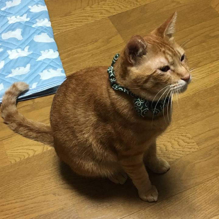 Ffe87539 86d4 48d5 874b 992c46864163 1538230727687