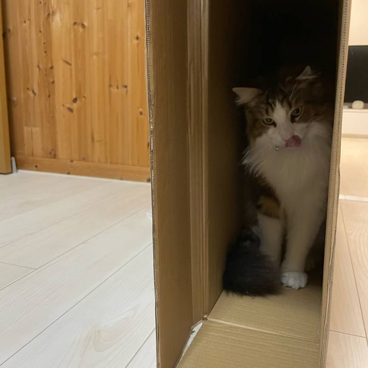 Ffe88a03 4bc5 4b4e 96e2 0d8ce1144f27 1653908601535