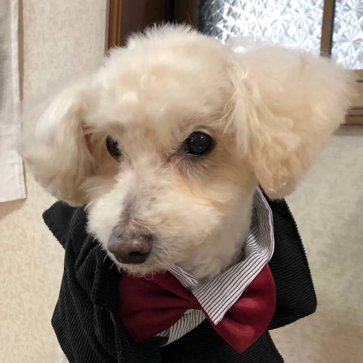 Ffe8c632 6188 482c 9f63 453b0b4c6c37 1552490449561