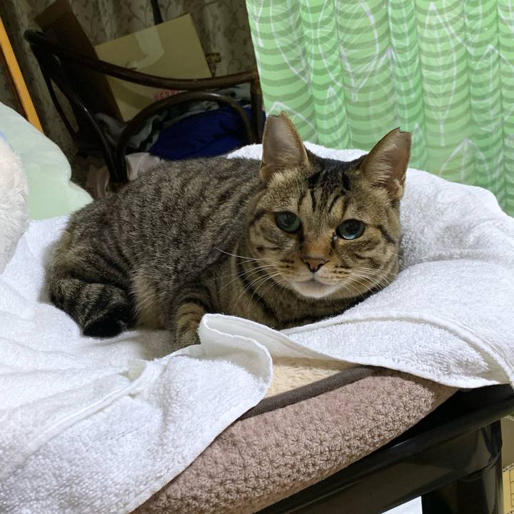 Ffe8c828 990f 40c3 9e5f 06d0adcdc5a0 1603804134911