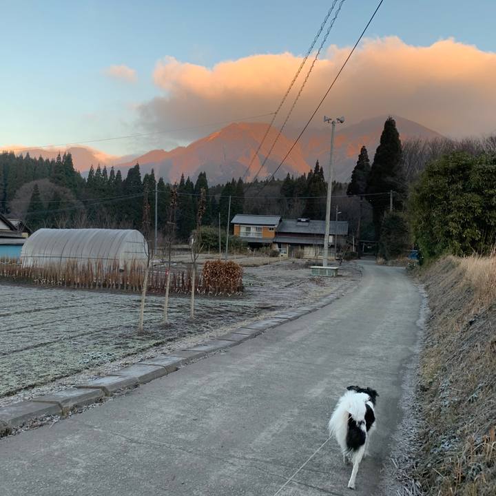 Ffe8e099 1b0e 42ee 95c9 253184ef8155 1579669963434