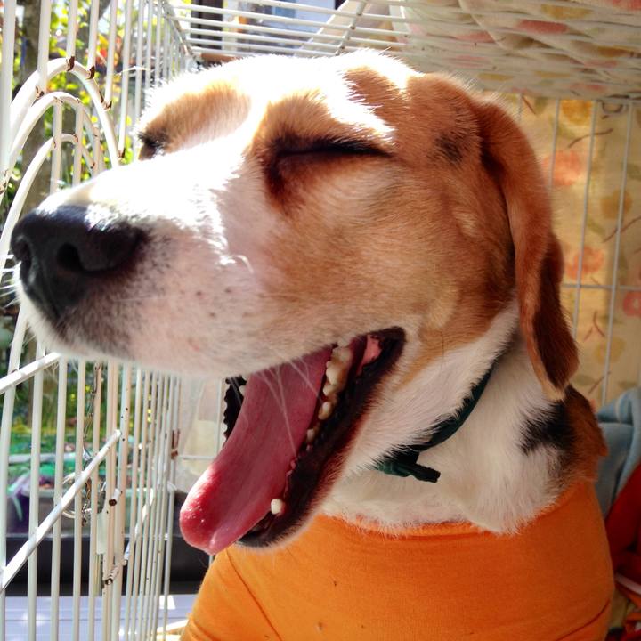 Ffe91360 6c2d 4e91 b714 746a70d7c09d 1741409028111