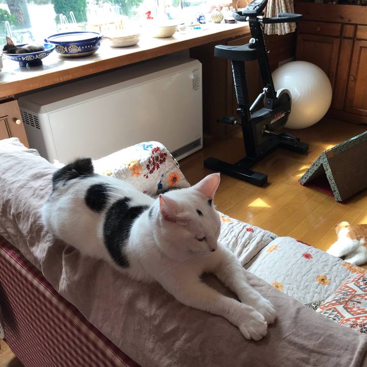 Ffe94771 0145 4943 8648 958b94feca54 1597544417495